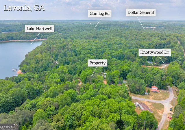 Homes for sale in Lavonia, GA | 440 Knottywood Dr, Lavonia, GA 30553 | MLS# 10754565