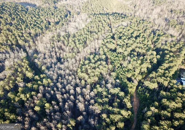 Photo 3 of Land for sale at 0 - Tract 2 Mt Zion Church Rd, Whitesburg, GA 30185 | MLS# 10824081 | Listing updated on 2026-08-26