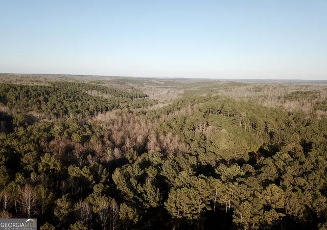 Photo 4 of Land for sale at 0 - Tract 2 Mt Zion Church Rd, Whitesburg, GA 30185 | MLS# 10824081 | Listing updated on 2026-08-26
