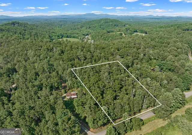 Photo 1 of Land for sale at 2 Ac Ritchie Crk Rd, Blue Ridge, GA 30513 | MLS# 10796859 | Listing updated on 2026-07-15