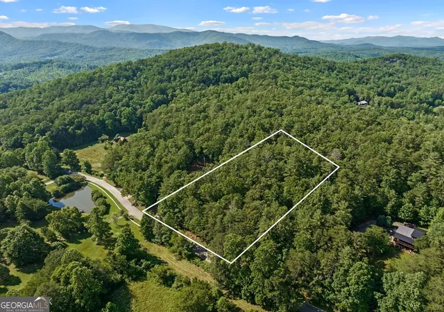 Photo 3 of Land for sale at 2 Ac Ritchie Crk Rd, Blue Ridge, GA 30513 | MLS# 10796859 | Listing updated on 2026-07-15