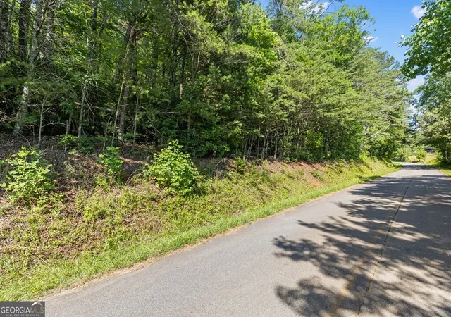 Photo 3 of Land for sale at 2 Ac Ritchie Crk Rd, Blue Ridge, GA 30513 | MLS# 10796859 | Listing updated on 2026-07-15