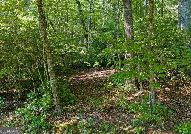 Photo 4 of Land for sale at 2 Ac Ritchie Crk Rd, Blue Ridge, GA 30513 | MLS# 10796859 | Listing updated on 2026-07-15