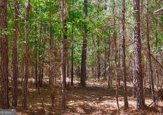 1st image of 0 Effingham Hwy, Sylvania, GA 30467 | MLS# 10740490