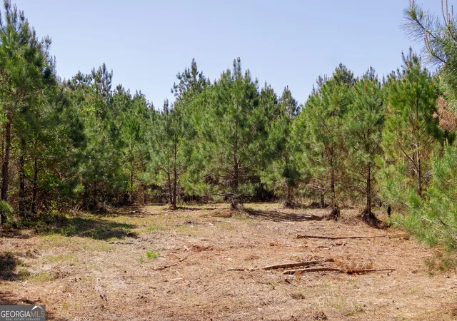 26th image of 0 Effingham Hwy, Sylvania, GA 30467 | MLS# 10740490