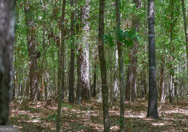 2nd image of 0 Effingham Hwy, Sylvania, GA 30467 | MLS# 10740490