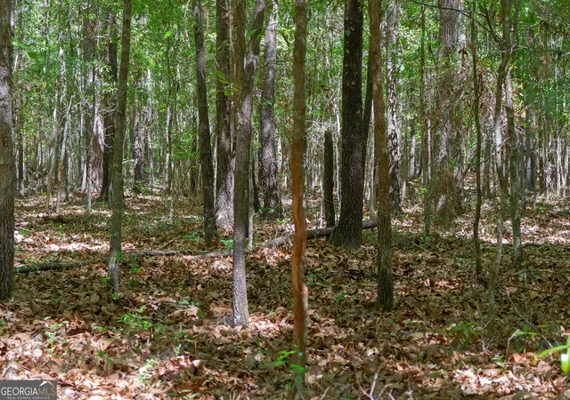 4th image of 0 Effingham Hwy, Sylvania, GA 30467 | MLS# 10740490