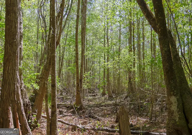 5th image of 0 Effingham Hwy, Sylvania, GA 30467 | MLS# 10740490