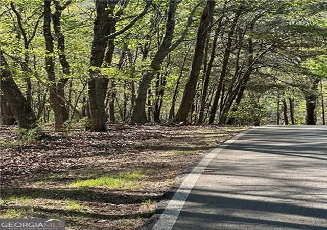 Photo 2 of Land for sale at 141 Wood Fern Knoll #2049, Jasper, GA 30143 | MLS# 10758772 | Listing updated on 2026-05-20