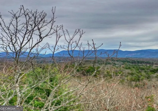 12th image of Lot 17 Abbott Mill Rd, Ellijay, GA 30540 | MLS# 10756351