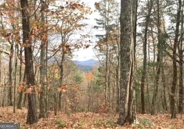 2nd image of Lot 17 Abbott Mill Rd, Ellijay, GA 30540 | MLS# 10756351