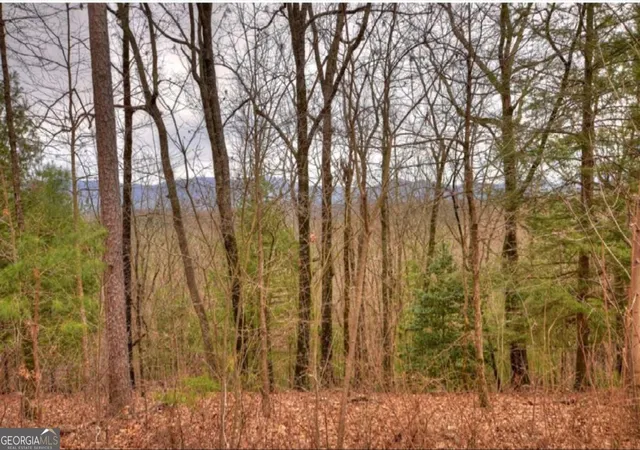 3rd image of Lot 17 Abbott Mill Rd, Ellijay, GA 30540 | MLS# 10756351