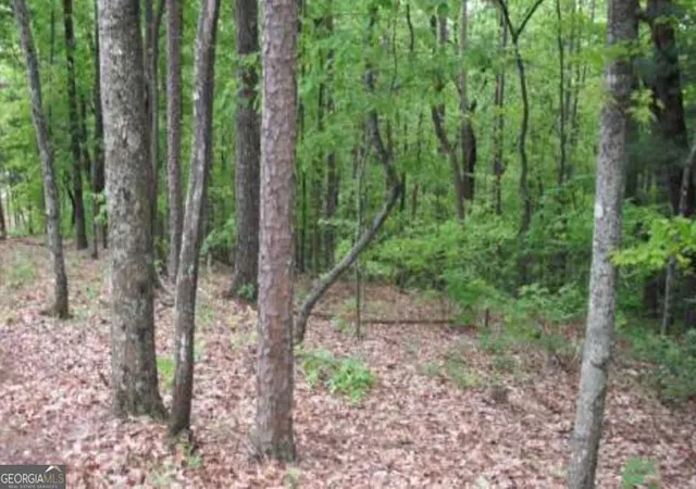 4th image of Lot 17 Abbott Mill Rd, Ellijay, GA 30540 | MLS# 10756351