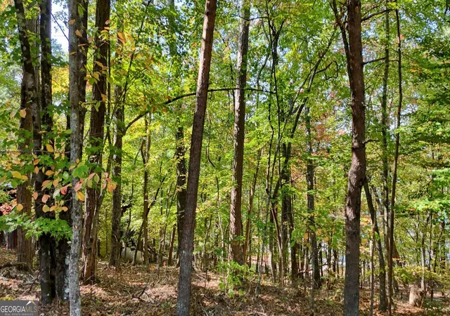 Photo 2 of Sale Pending at 76 Acres Charlotte Cir, Blue Ridge, GA 30513 | MLS# 10679463 | Listing updated on 2026-09-02