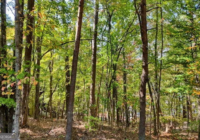 Photo 3 of Sale Pending at 76 Acres Charlotte Cir, Blue Ridge, GA 30513 | MLS# 10679463 | Listing updated on 2026-09-02