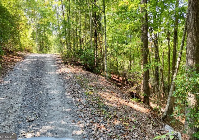 Photo 3 of Sale Pending at 76 Acres Charlotte Cir, Blue Ridge, GA 30513 | MLS# 10679463 | Listing updated on 2026-09-02