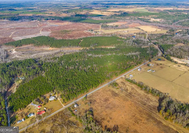 Homes for sale in Swainsboro, GA | 0 Quick Road #LOT 10B, Swainsboro, GA 30401 | MLS# 10797883