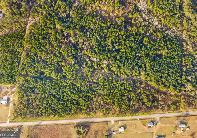 Homes for sale in Swainsboro, GA | 0 Quick Road #LOT 10B, Swainsboro, GA 30401 | MLS# 10797883