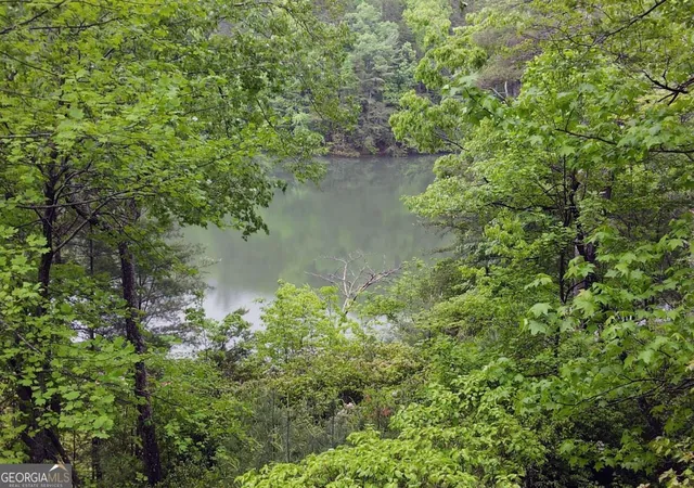 5th image of 66 Pine Ridge Ct, Ellijay, GA 30536 | MLS# 10737488