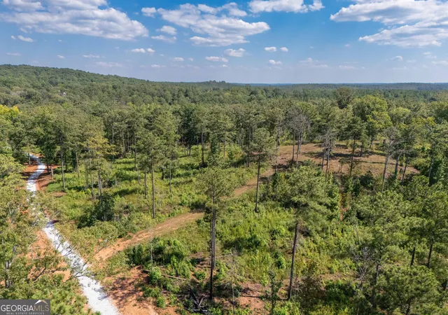 Photo 3 of Land for sale at 0 Hwy 100 #1 SADIE PLACE, Franklin, GA 30217 | MLS# 10834817 | Listing updated on 2026-09-11
