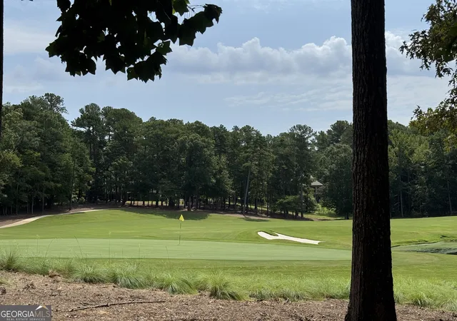 59th image of 1020 Hixons Bluff Dr, Greensboro, GA 30642 | MLS# 10827109