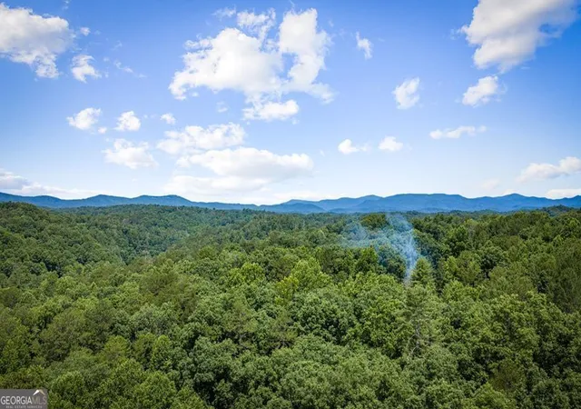 2nd image of 290 Graham Ct, Ellijay, GA 30540 | MLS# 10793043