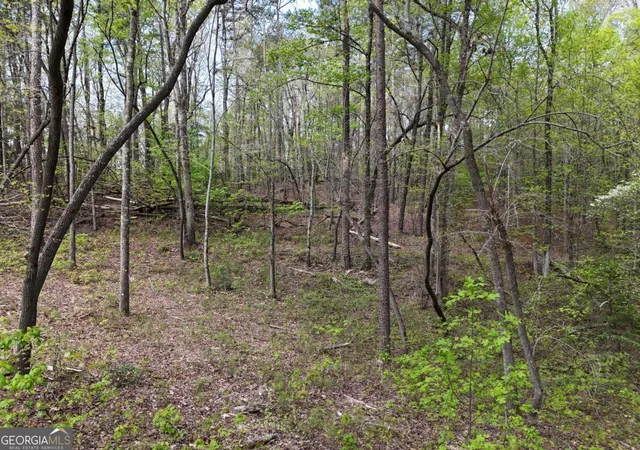 Photo 3 of Land for sale at Lt 36r Hilton Dr, Ellijay, GA 30540 | MLS# 10756142 | Listing updated on 2026-05-16