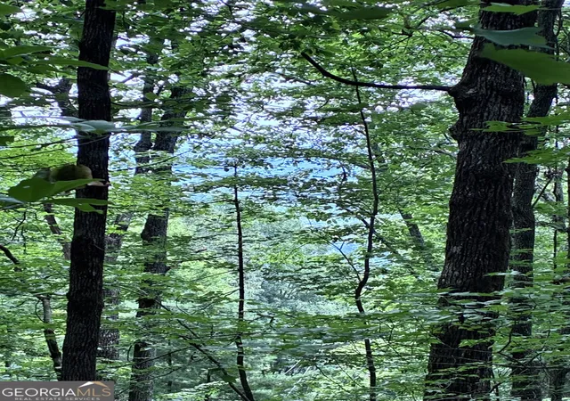 Photo 1 of Land for sale at 829 Morton Dr, Ellijay, GA 30540 | MLS# 10809966 | Listing updated on 2026-10-30