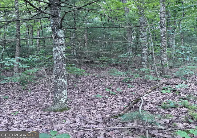 Photo 1 of Land for sale at 829 Morton Dr, Ellijay, GA 30540 | MLS# 10809966 | Listing updated on 2026-10-30