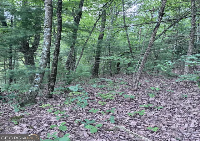 Photo 2 of Land for sale at 829 Morton Dr, Ellijay, GA 30540 | MLS# 10809966 | Listing updated on 2026-10-30
