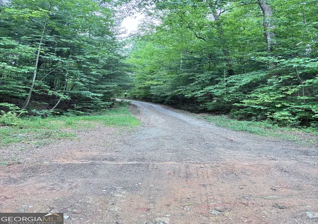 Photo 3 of Land for sale at 829 Morton Dr, Ellijay, GA 30540 | MLS# 10809966 | Listing updated on 2026-10-30