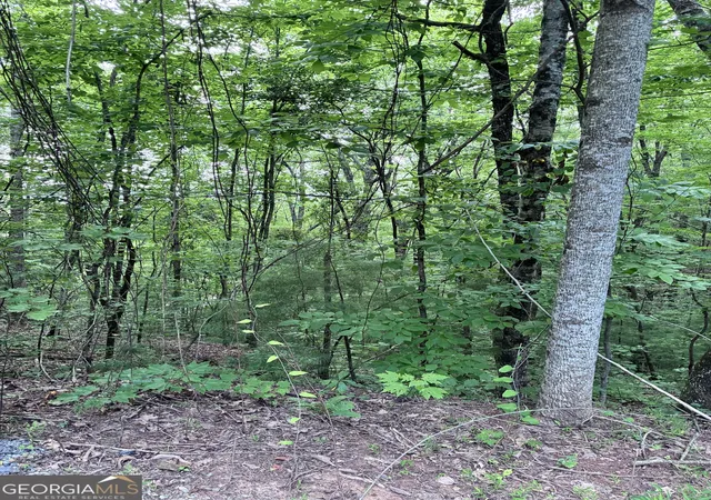 Photo 4 of Land for sale at 829 Morton Dr, Ellijay, GA 30540 | MLS# 10809966 | Listing updated on 2026-10-30
