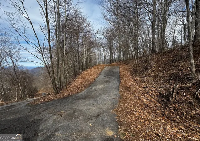 2nd image of 20 Acres Burnt Leaf Lane, Hayesville, NC 28904 | MLS# 10817926