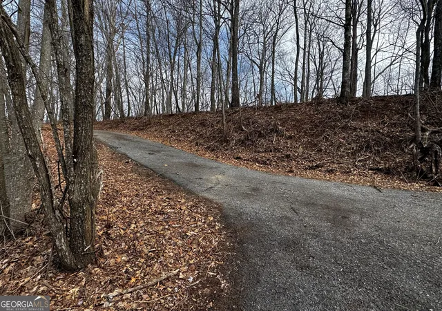 3rd image of 20 Acres Burnt Leaf Lane, Hayesville, NC 28904 | MLS# 10817926
