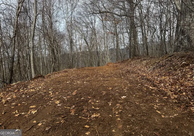 4th image of 20 Acres Burnt Leaf Lane, Hayesville, NC 28904 | MLS# 10817926