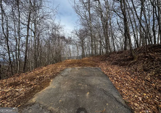 5th image of 20 Acres Burnt Leaf Lane, Hayesville, NC 28904 | MLS# 10817926