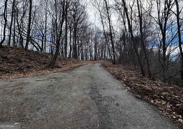9th image of 20 Acres Burnt Leaf Lane, Hayesville, NC 28904 | MLS# 10817926
