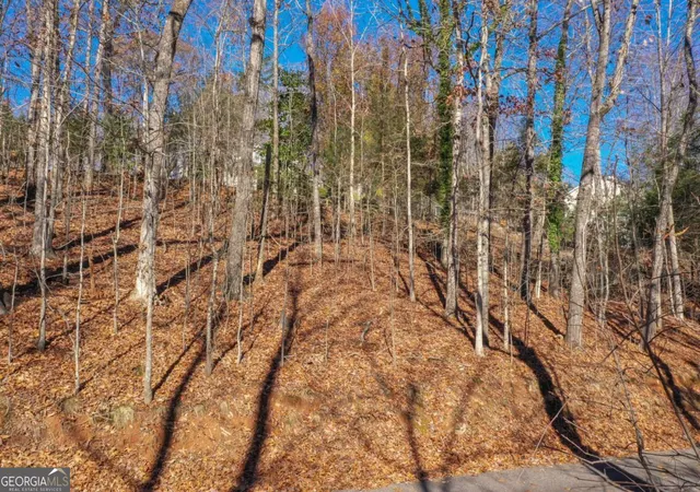 Photo 15 of Land for sale at 3442 Jet Wright Rd, Gainesville, GA 30506 | MLS# 10664451 | Listing updated on 2026-01-16