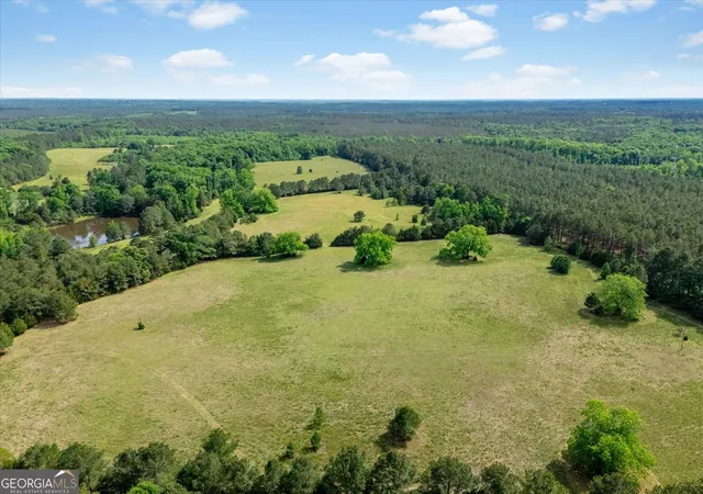 4th image of 00 Thornton Rd, Washington, GA 30673 | MLS# 10811738