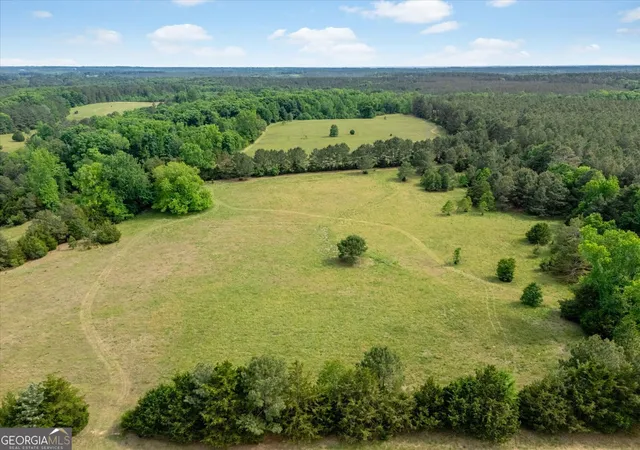5th image of 00 Thornton Rd, Washington, GA 30673 | MLS# 10811738