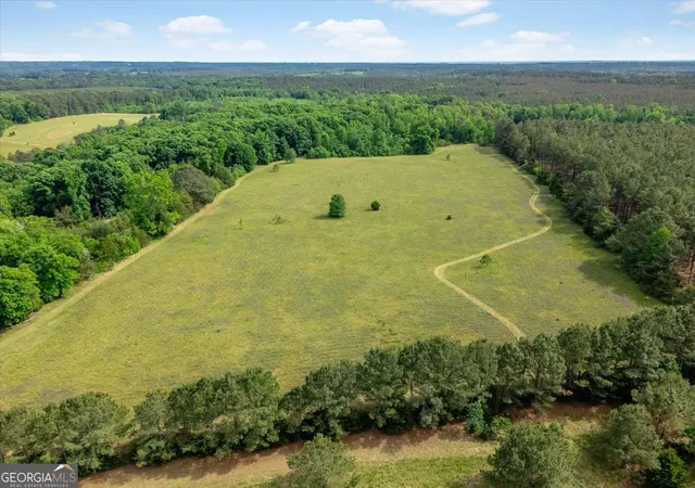 6th image of 00 Thornton Rd, Washington, GA 30673 | MLS# 10811738