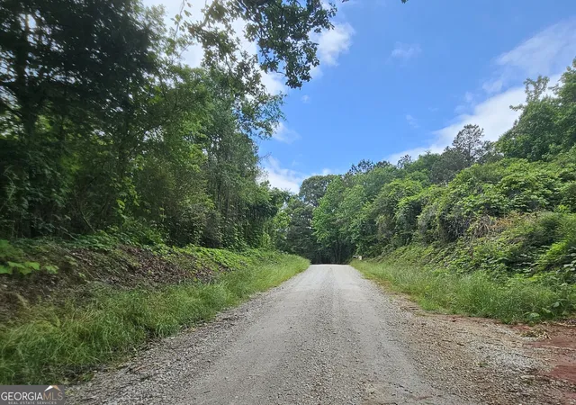 Photo 10 of Land for sale at 0 School House Hl Rd, Franklin, GA 30217 | MLS# 10816885 | Listing updated on 2026-08-14