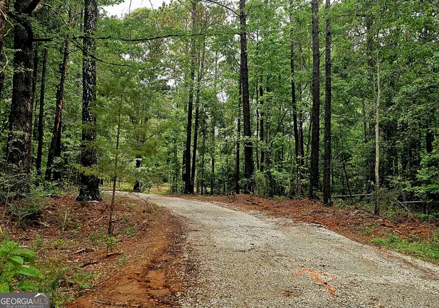 Photo 1 of Land for sale at 0 School House Hl Rd, Franklin, GA 30217 | MLS# 10816885 | Listing updated on 2026-08-14