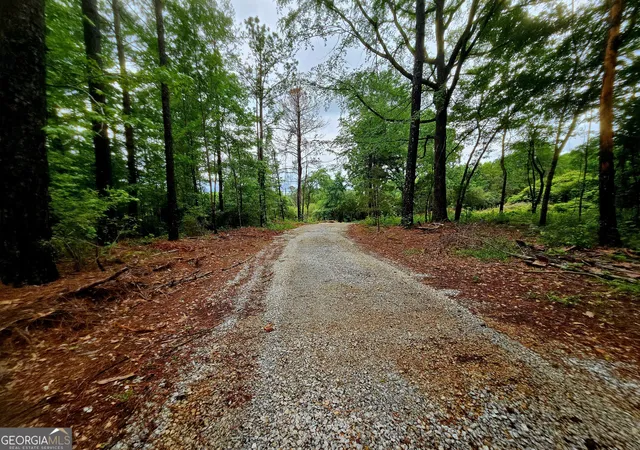 Photo 2 of Land for sale at 0 School House Hl Rd, Franklin, GA 30217 | MLS# 10816885 | Listing updated on 2026-08-14