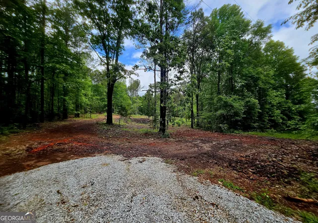 Photo 2 of House for sale at 0 School House Hl Rd, Franklin, GA 30217 | MLS# 10816885 | Listing updated on 2026-08-14