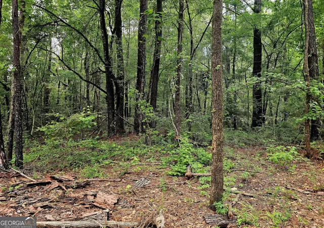 Photo 3 of House for sale at 0 School House Hl Rd, Franklin, GA 30217 | MLS# 10816885 | Listing updated on 2026-08-14