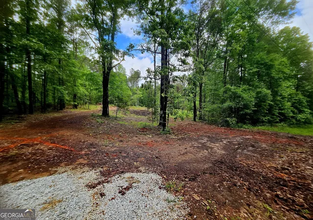 Photo 4 of House for sale at 0 School House Hl Rd, Franklin, GA 30217 | MLS# 10816885 | Listing updated on 2026-08-14