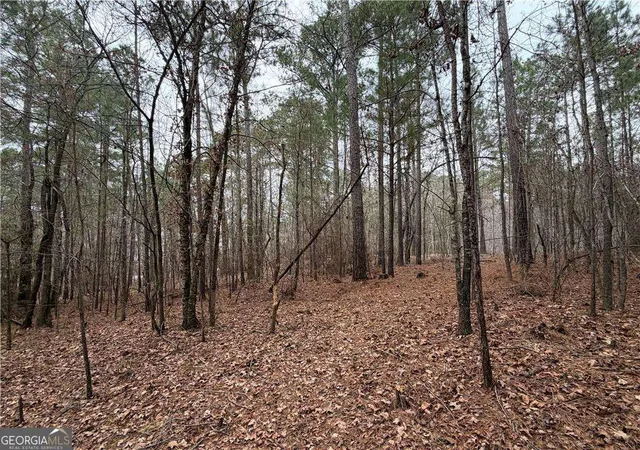 1st image of 1700 Northwoods Dr, Greensboro, GA 30642 | MLS# 10785062