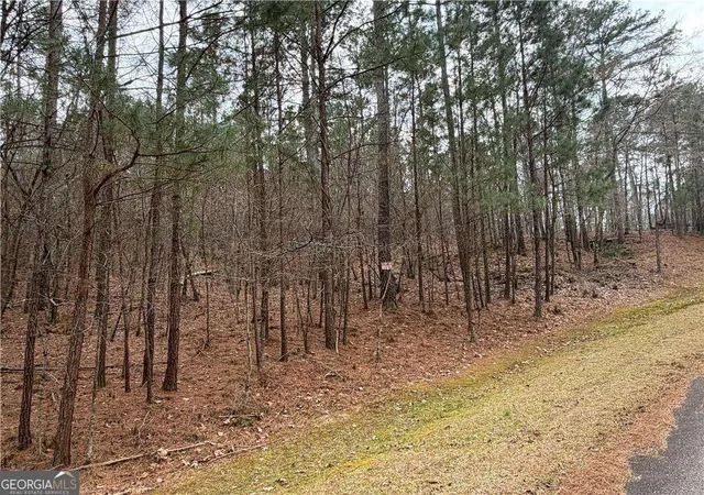 2nd image of 1700 Northwoods Dr, Greensboro, GA 30642 | MLS# 10785062
