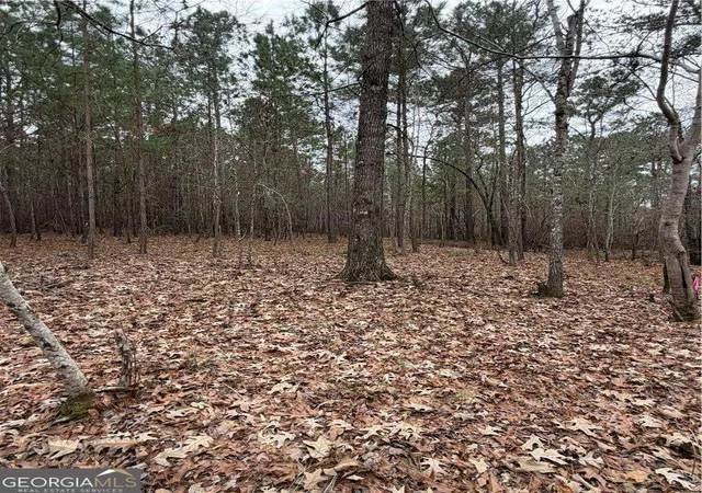 Photo 3 of Land for sale at 1700 Northwoods Dr, Greensboro, GA 30642 | MLS# 10785062 | Listing updated on 2026-07-31